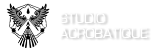 studio-acrobatique-quebec
